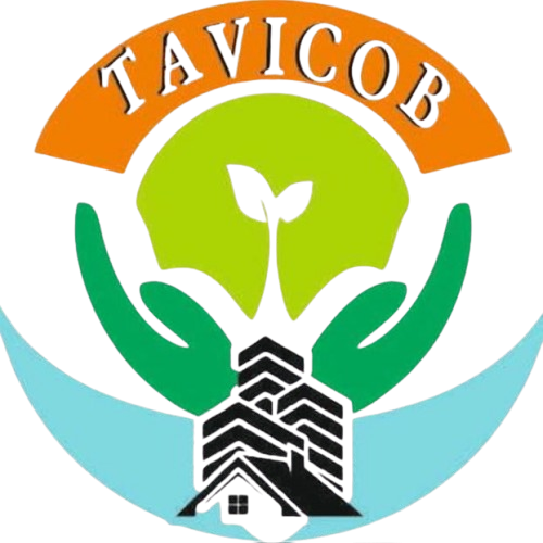 My Website